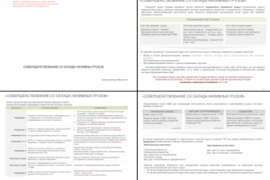 Пример аудита системы управления 2