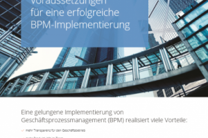 Брошюра на немецком языке (ИТ тематика)