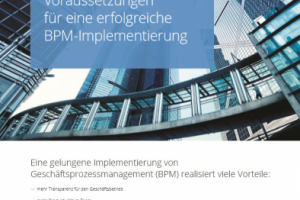 Брошюра на немецком языке (ИТ тематика)