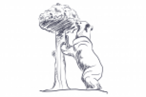 Скетчи для каталога