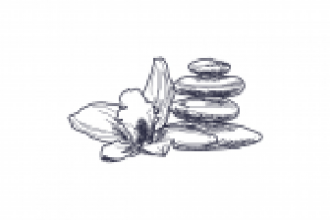 Скетчи для каталога