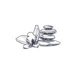 img2144038.png