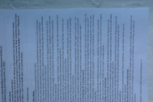 Исходный текст Hirnforschung