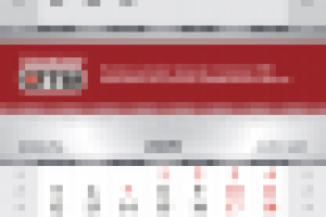 Квартальный календарь, 2009