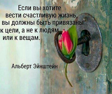 img3743168.png
