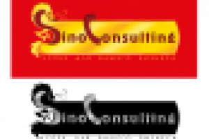 логотип для компании SinoConsulting(работает с Китаем)
