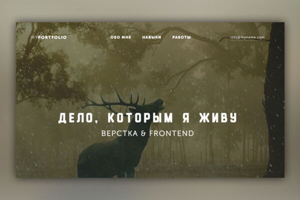 img3495900.png
