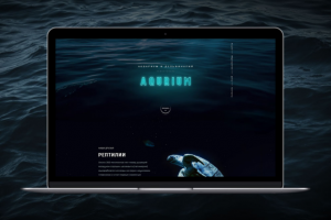 "AQURIUM" - Аквариум и дельфинарий