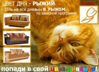 img2858277.png