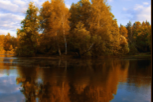 Костер осени