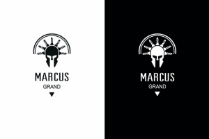 Товарный знак в системе визуальной идентификации