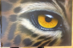 Работа 2925138