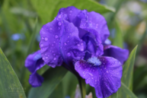 Работа 3045941