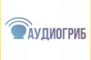 Скачивание аудио файлов, сайт, логотип