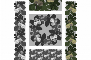 Инжир. Паттерны