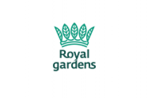 Работа 1862884