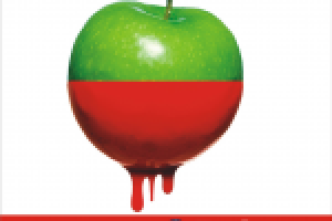 Работа 2437307