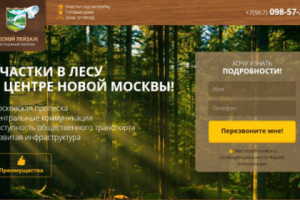 Лесной Пейзаж