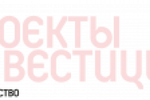 Газета "Проекты и инвестиции". Логотип