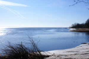 Работа 2063939