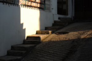 Работа 2061896