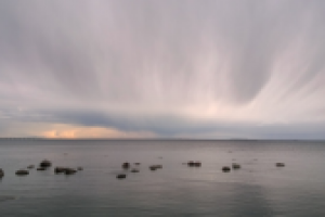 Работа 2063962