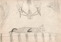 Sleeping Cat