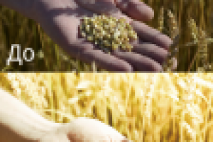 Работа 3052491