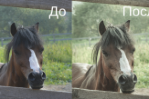 Работа 3052487