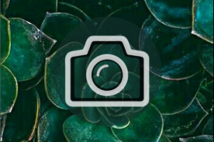 Обложка для Инстаграм