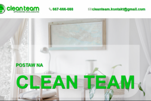 CleanTeam
