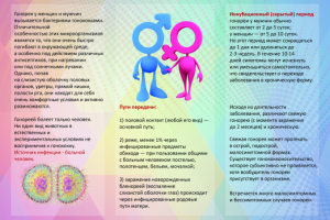 Рекламный буклет