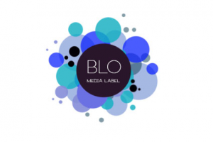 Работа 3241743