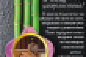 Визитная карта и рекламный модуль для салона тайского  массажа