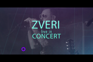 Видео-афиша группы "Звери"