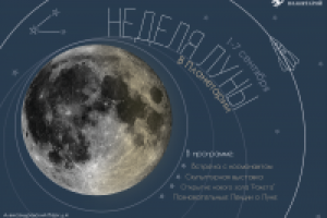 Флаер для "Недели Луны"