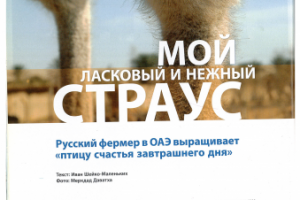 Статья о разведении страусов