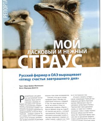 img3747350.png