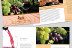 Буклет_Диалог