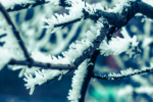 Работа 2445140