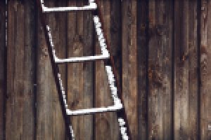 Работа 2441715