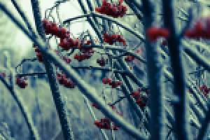 Работа 2441714