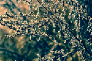 Работа 2441713