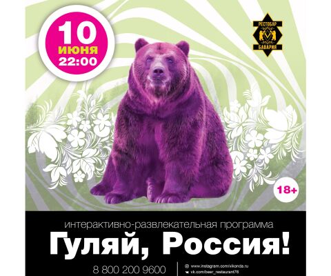 img3494136.png