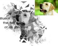 img2559484.png