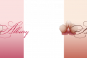 Работа 2233218