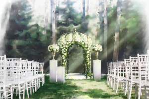 локация выездной регистрации