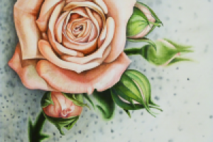 акварель+карандаши