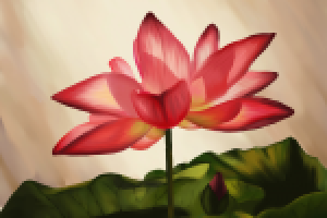 лотос в Corel Painter