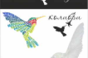 лого колибри